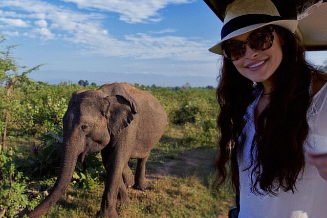 Yala Game Drive - Image 2