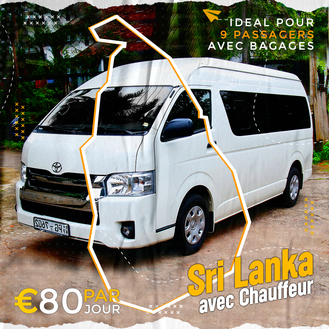 Microbus avec Chauffeur