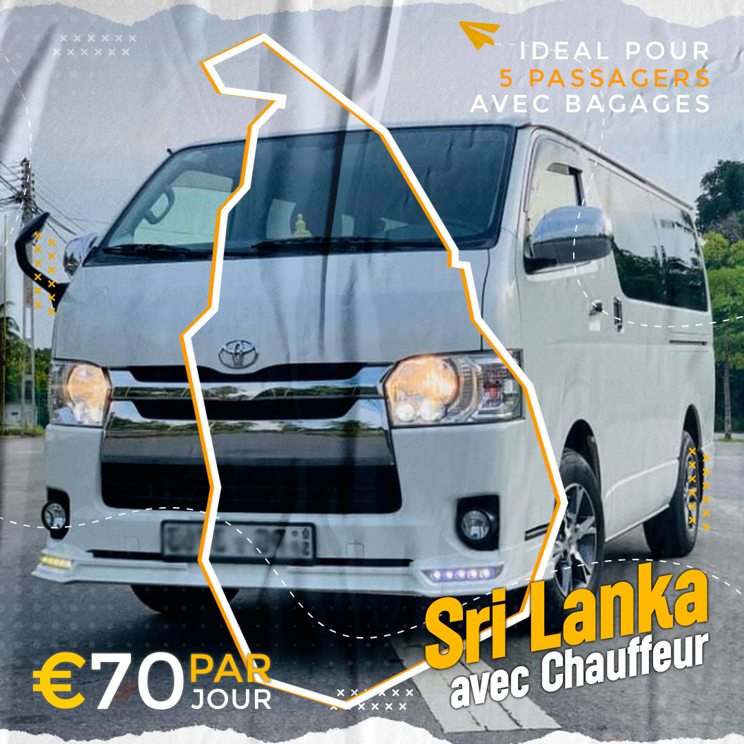 Microvan avec Chauffeur