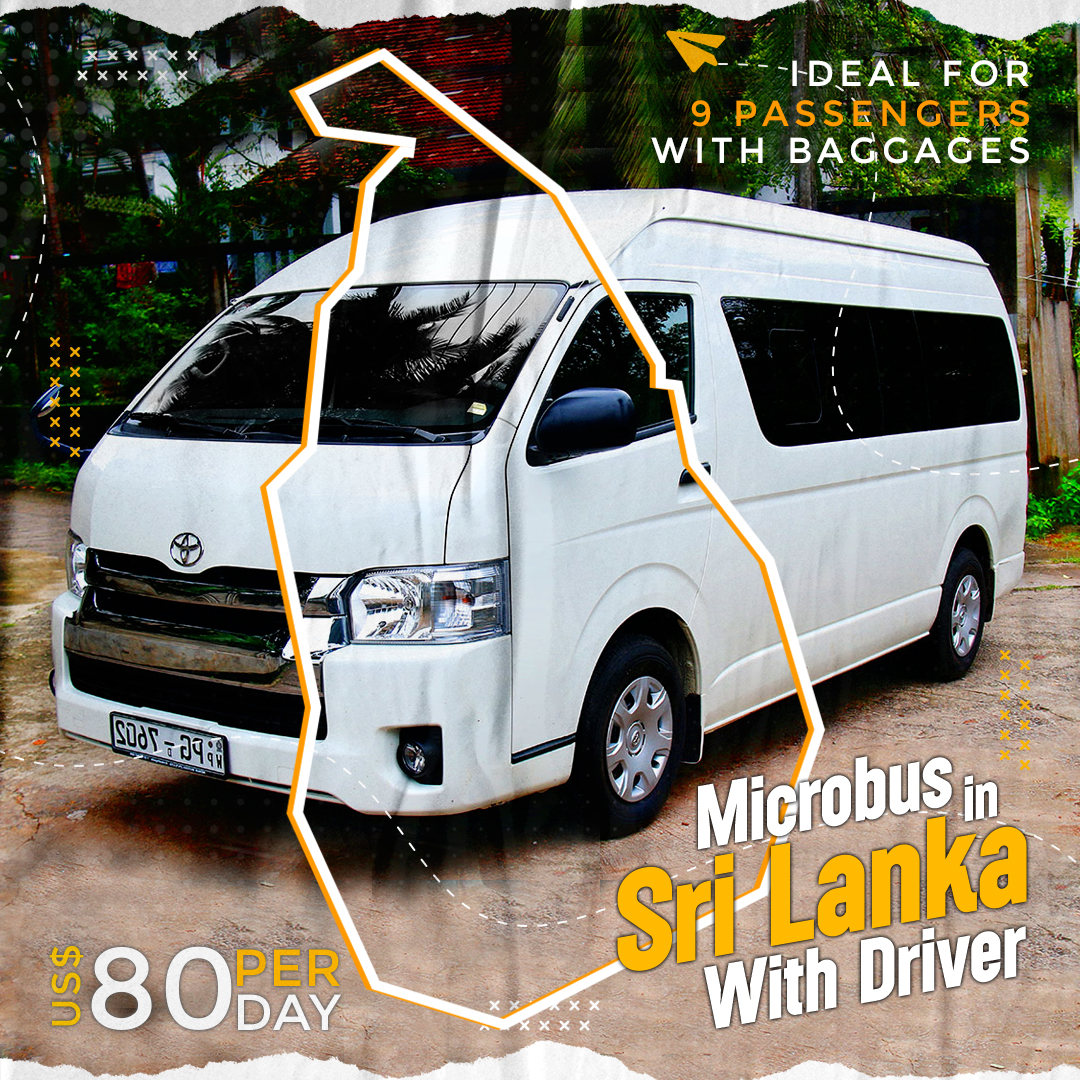 Microbus with Driver