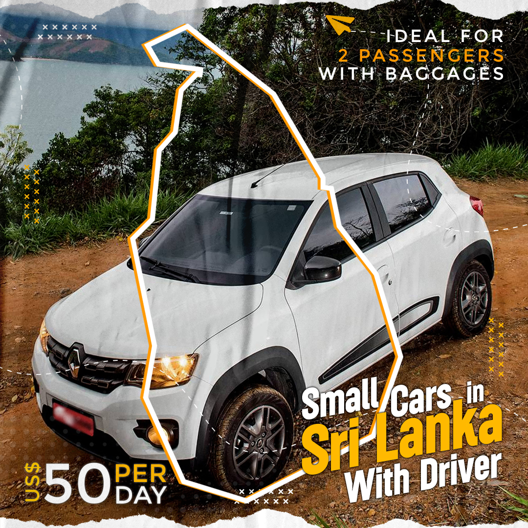 Small Budget Car With Driver