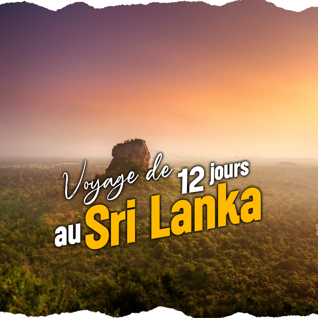 Triangle Culturel et la Plage au Sud-ouest du Sri Lanka